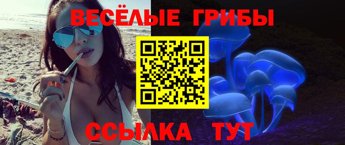 Галлюциногенные грибы ЛСД  Вход с VPN  Камышлов 